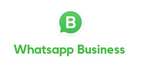 WhatsApp Business Qué es y cómo funciona