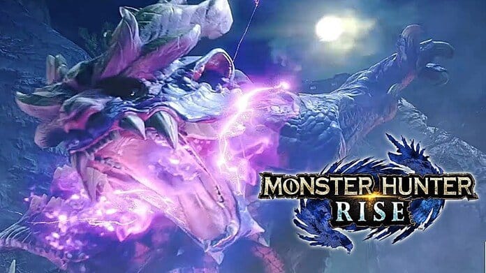 Couverture de Monster Hunter Rise