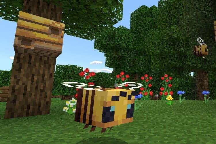 Cara menemukan lebah di Minecraft