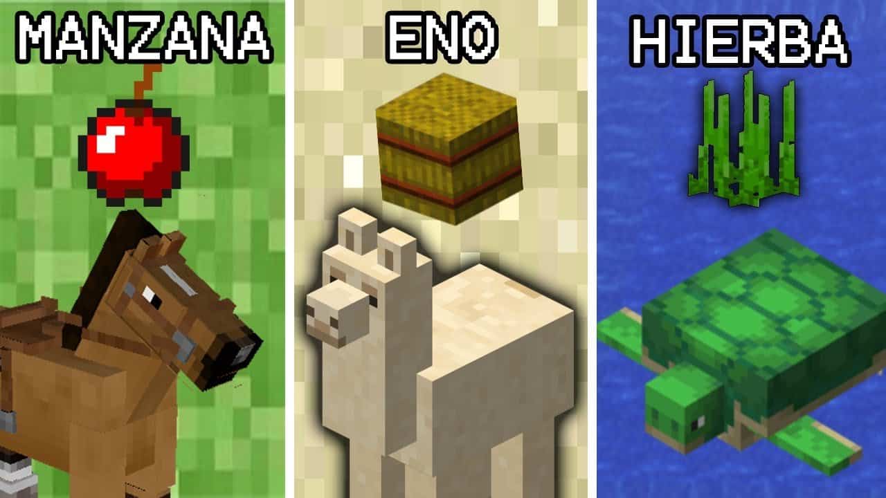 What Do Animals Eat In Minecraft? ▷➡️ Trick Library ▷➡️