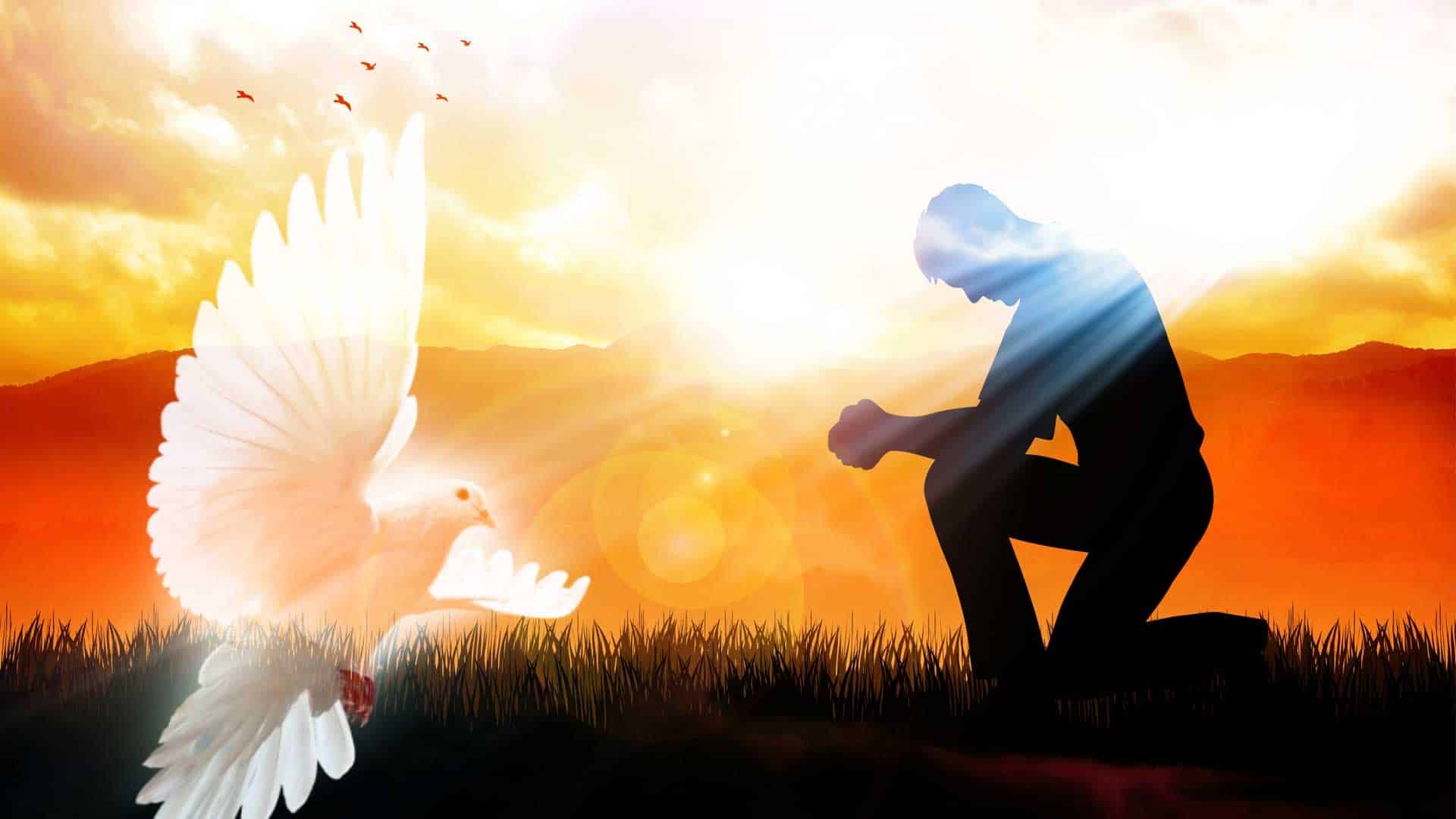 Fracaso jugador Significativo Cómo Se Manifiesta El Espíritu Santo En Las Personas? ▷➡️ Trucoteca ▷➡️